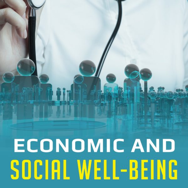 Economic And Social Well Being Excelic Press